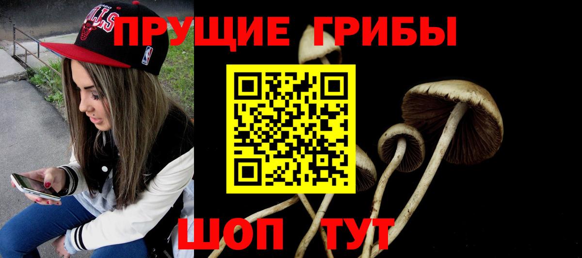 Самара  Псилоцибиновые грибы GOLDEN TEACHER  Вход с VPN  Псилоцибиновые грибы MAGIC MUSHROOMS 
